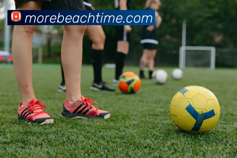6T体育APP 封面图